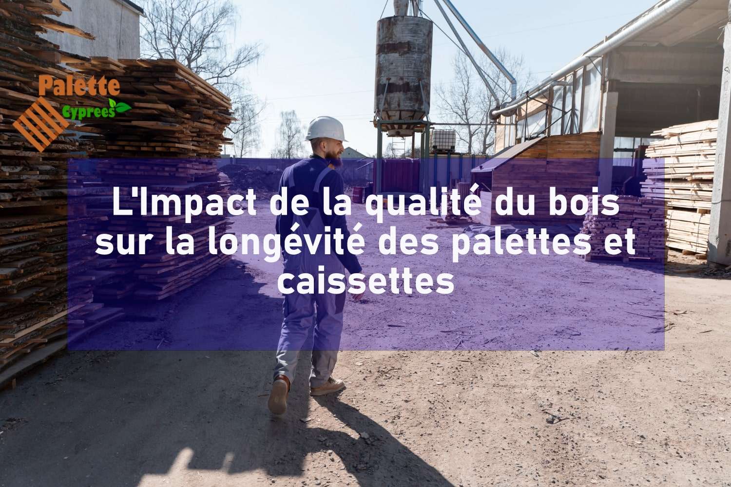 L'Impact de la qualité du bois sur la longévité des palettes et caissettes